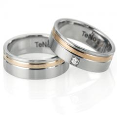 TeNo Steel gold