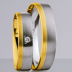 585 Weissgold , seidenmatt,  Nowotny-Collection Ruesch White gold yellow gold Marryring