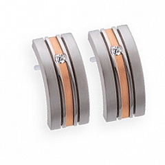 Satin Stainless Steel Earrings,  Ernstes Design
