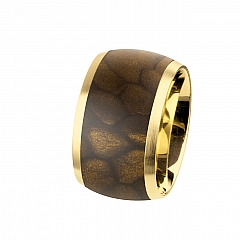 Ernstes Design