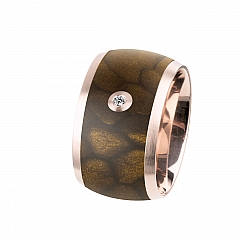Ernstes Design