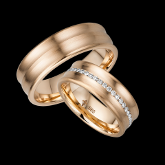 Giloy Rosegold