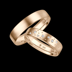 Giloy Rosegold