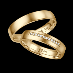 Giloy Gelbgold