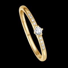 Giloy Gold