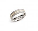 Titanium Ring gold plated 0101-03