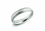 Titanium Ring 0131-01