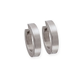 Earrings E106 satin Stainless Steel,