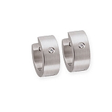 Stainless Steel Hoop Earrings E115