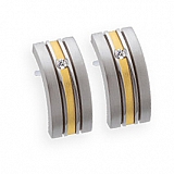 Earrings E228 Satin Stainless Steel Earrings,