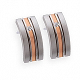 Earrings E230 Satin Stainless Steel Earrings,