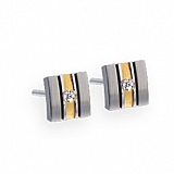 Earrings E232 Satin Stainless Steel Earrings,