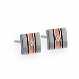 Earrings E234 Satin Stainless Steel Earrings,