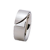 Ring R171 Stahl