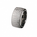 Ring R246 Stahl