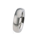 Ring R252 Stahl