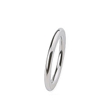 Ring R253 Stahl