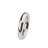 Ring R254 Stahl