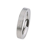 Ring R263 Stahl