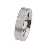 Ring R264 Stahl